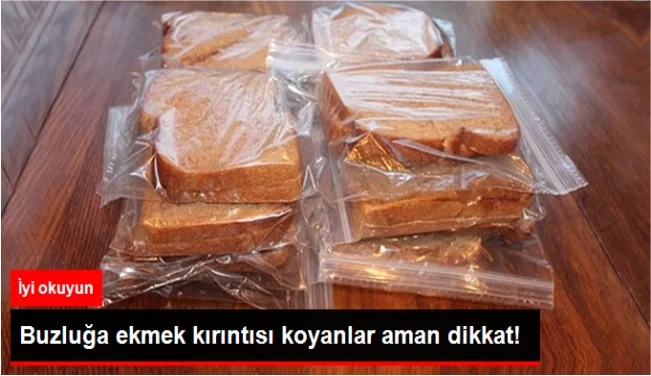 Buzluğa ekmek koyanlar