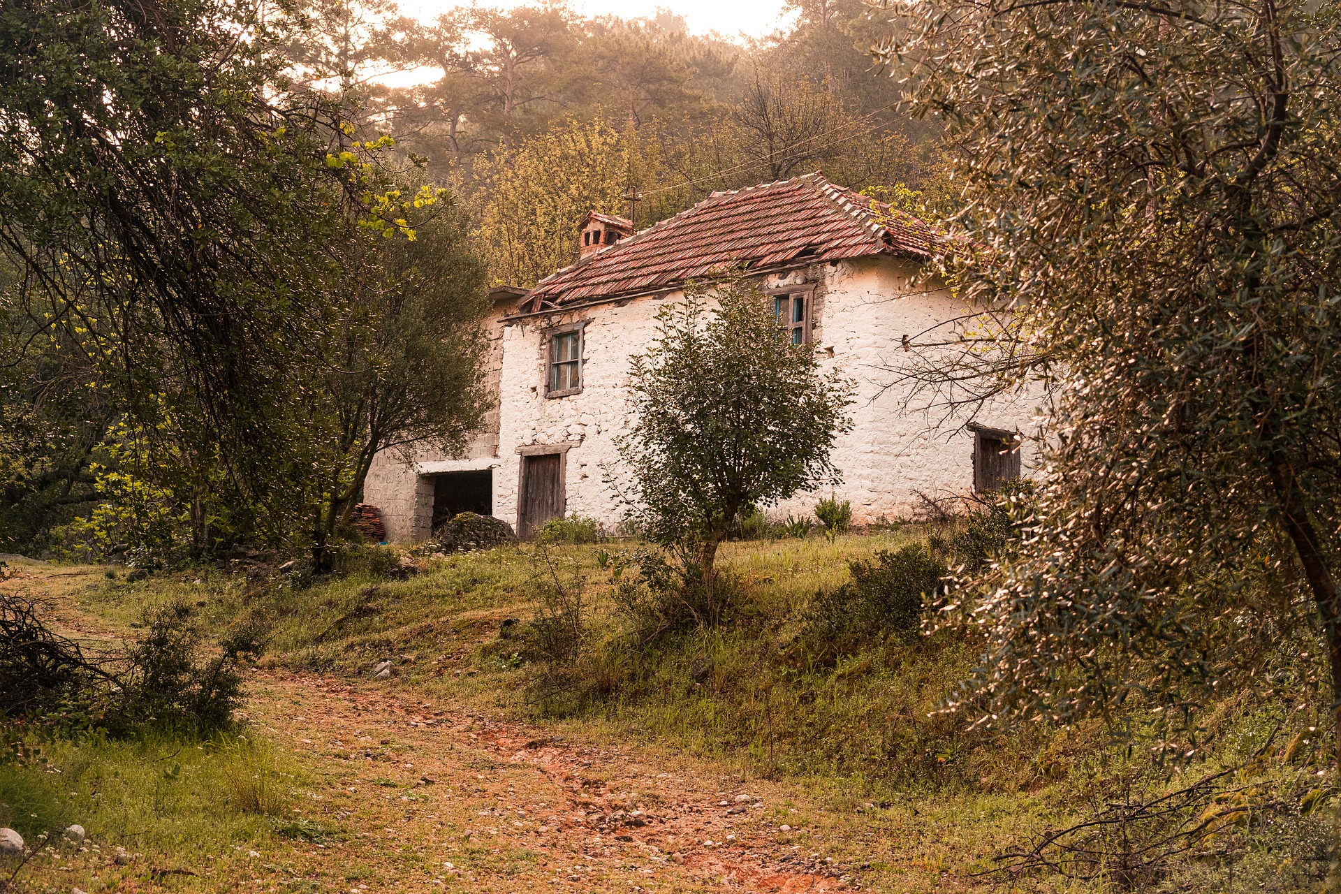 Adım, Züleyha