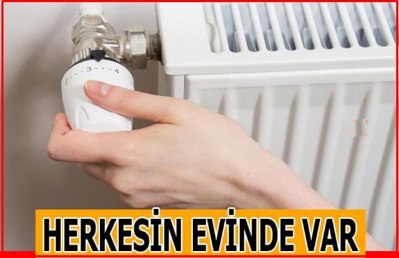 Herkesin Evinde Var