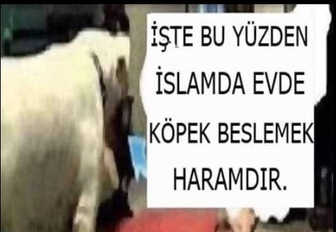 Bu yüzden haram