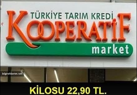 kopereftee