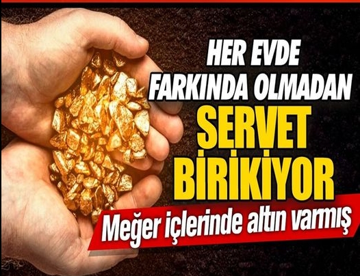 Hepimizin Evinde Var Sakın atım demeyin